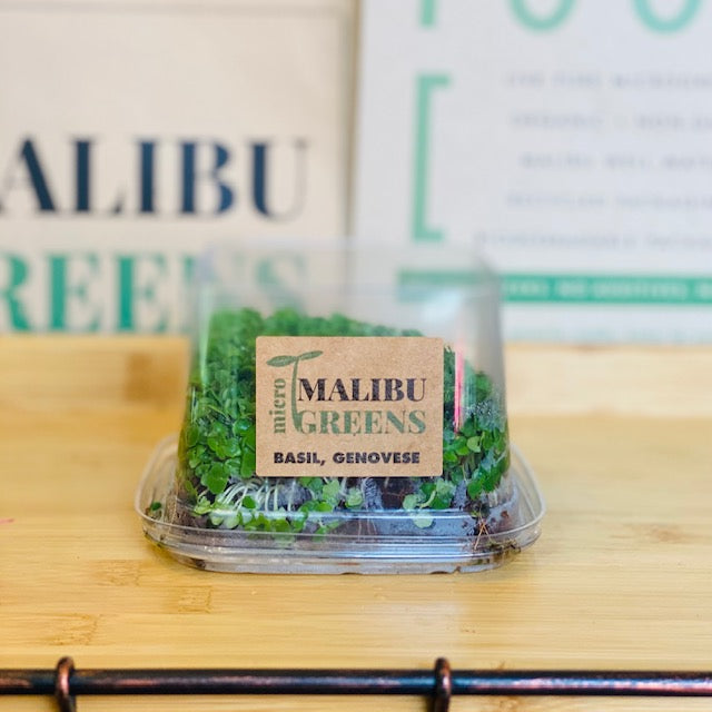 Basil Microgreens