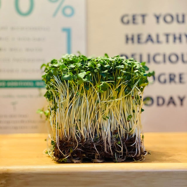 Broccoli Microgreens