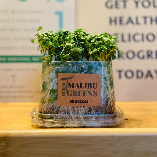 Broccoli Microgreens