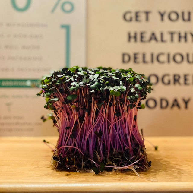 Red Cabbage Microgreens