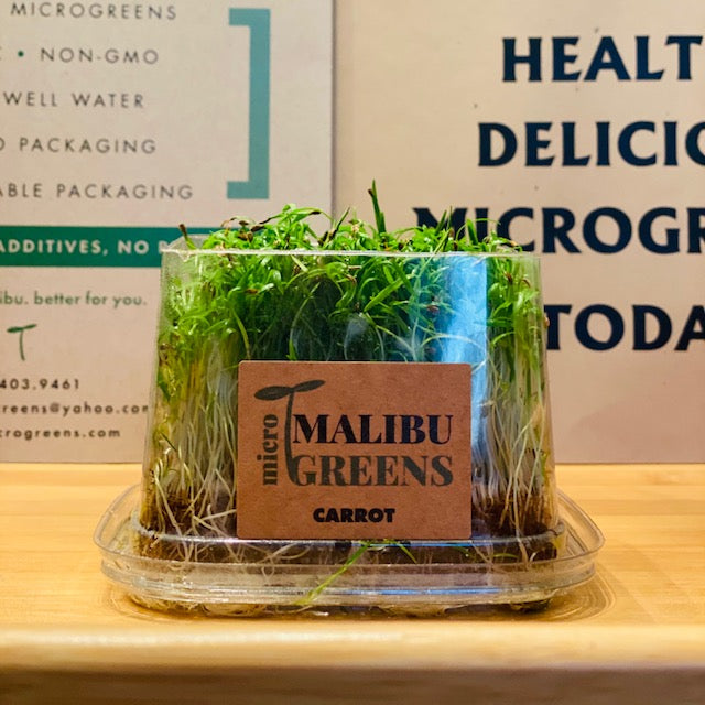 Carrot Microgreens