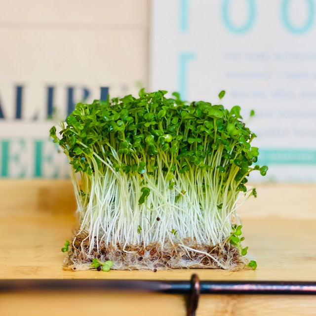 Tatsoi Microgreens